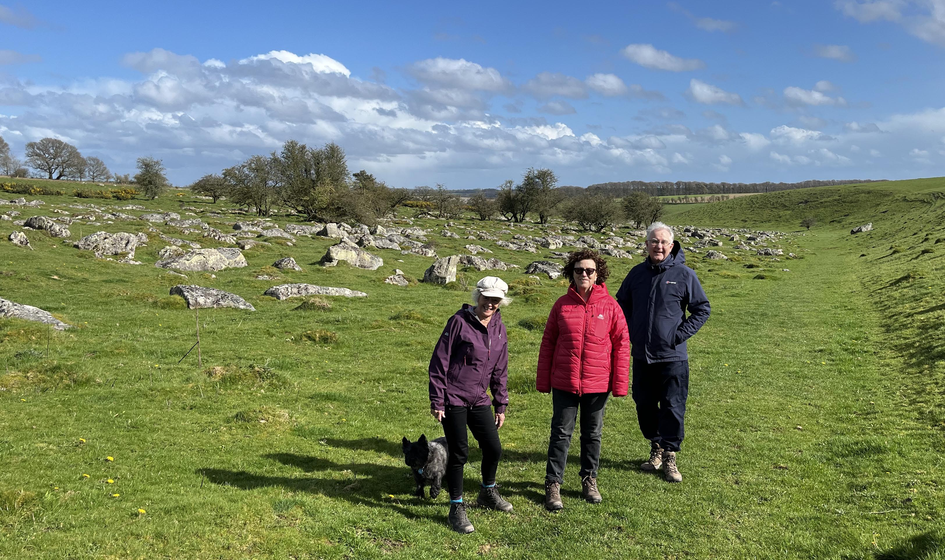 Group of walkers